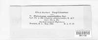 Phomopsis phlyctaenoides image